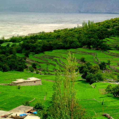 Gilgit Land for Sale