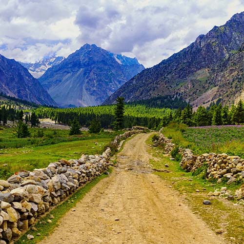 Naltar Land for Sale